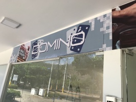 Diseño e Instalacion de Vinilo Impreso Domino